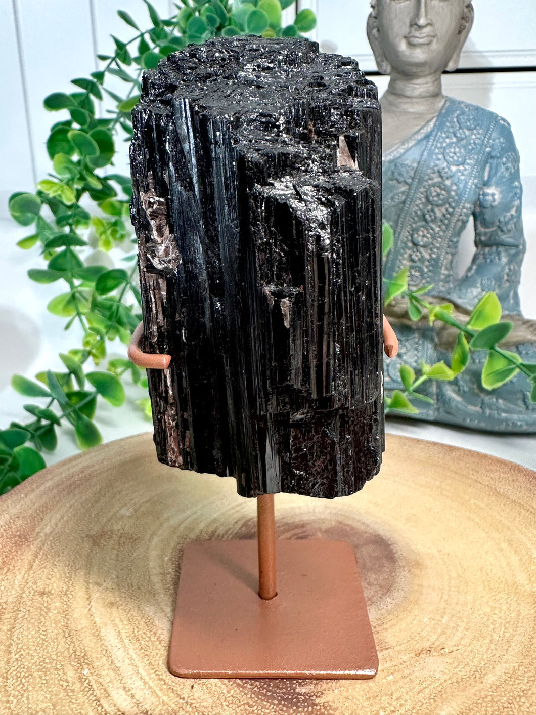 Black Tourmaline on Gold Stand from Brazil