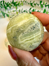 Load image into Gallery viewer, Green Maligano Jasper Round Palm Stones from Indonesia
