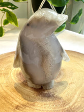 Load image into Gallery viewer, Druzy Agate Penguin Carving - Frosti
