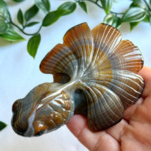 Load image into Gallery viewer, Stunning Banded Agate Hand Carved Fish

