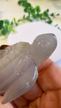 Load image into Gallery viewer, Druzy Agate Turtle (Tod)
