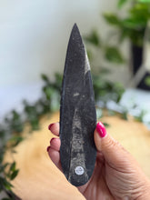 Load image into Gallery viewer, Orthoceras Fossil| Natural Polished Orthoceras Fossil

