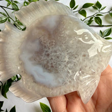 Load image into Gallery viewer, Druzy Agate Fish on Custom Gold Stand
