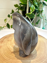 Load image into Gallery viewer, Druzy Agate Penguin Carving - Popsicle
