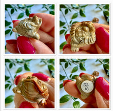Load image into Gallery viewer, Alashan Agate Money Frog Carving
