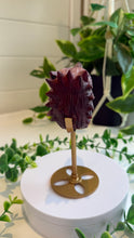Load image into Gallery viewer, Mookaite Jasper Wolf Head with custom stand|Hand Carved
