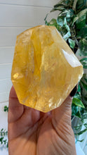 Load image into Gallery viewer, Golden Healer Freeform from Brazil
