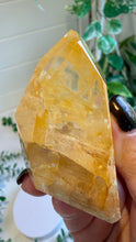 Load image into Gallery viewer, Golden Healer Freeform from Brazil
