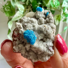 Load image into Gallery viewer, Blue Cavansite on Matrix from India
