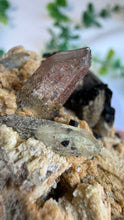 Load image into Gallery viewer, Black Tourmaline on Matrix with Quartz from Erongo
