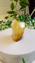 Load image into Gallery viewer, Golden Healer Freeform from Brazil
