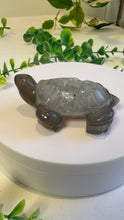 Load image into Gallery viewer, Druzy Agate Tortoise (Andy)
