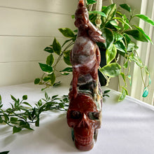 Load image into Gallery viewer, Ocean Jasper Skull with Phoenix|Home Decor|Crystal Decor
