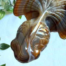 Load image into Gallery viewer, Stunning Banded Agate Hand Carved Fish
