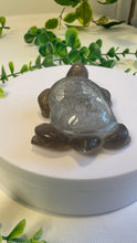 Load image into Gallery viewer, Druzy Agate Tortoise (Andy)
