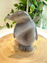 Load image into Gallery viewer, Druzy Agate Penguin Carving - Popsicle
