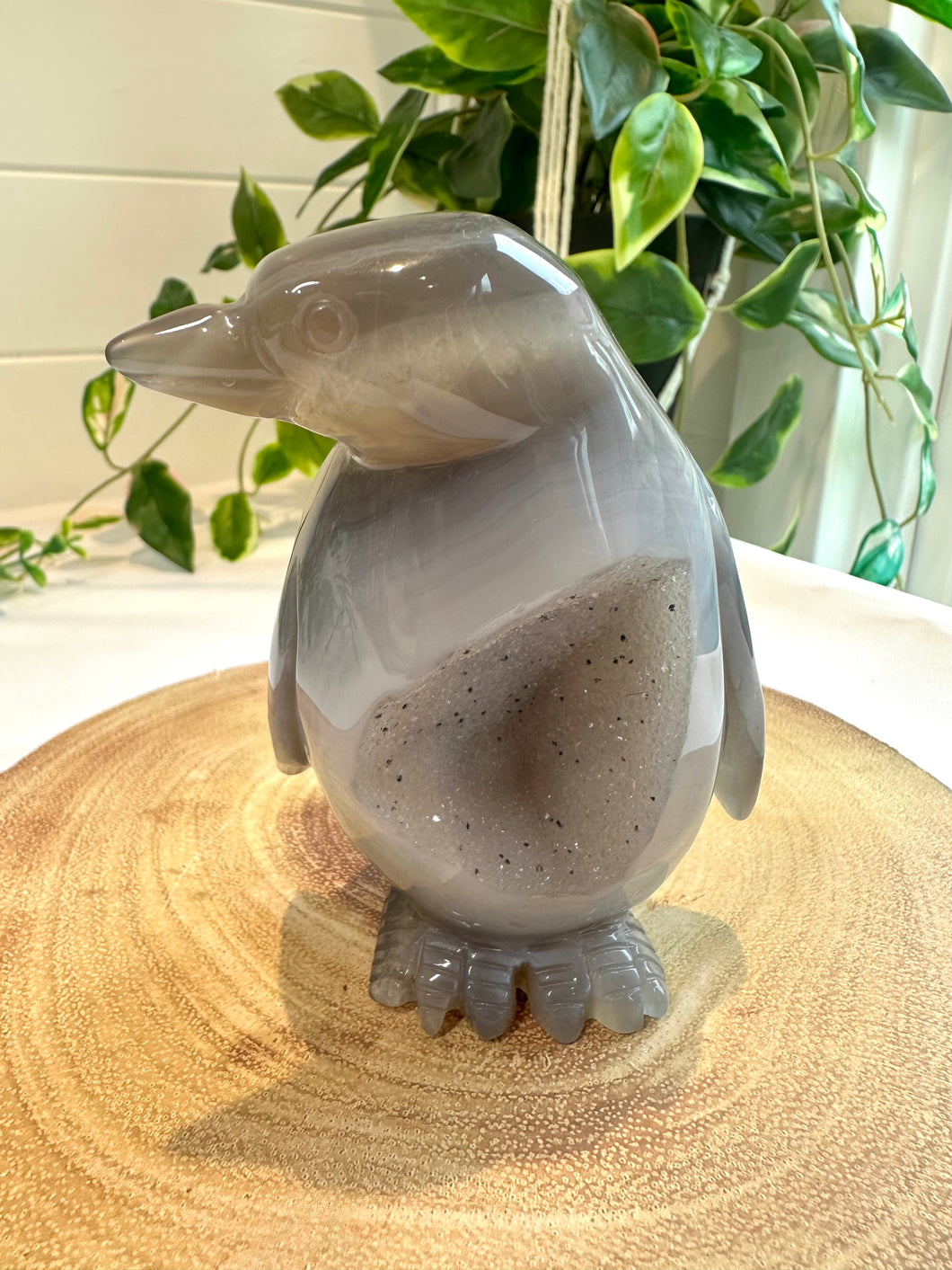 Druzy Agate Penguin Carving - Popsicle