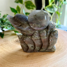 Load image into Gallery viewer, Labradorite Dolphins Carving
