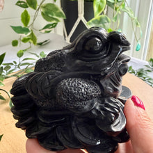 Load image into Gallery viewer, Black Obsidian Money Frog|Toad
