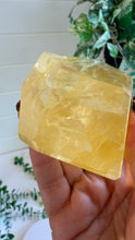 Load image into Gallery viewer, Golden Healer Freeform from Brazil
