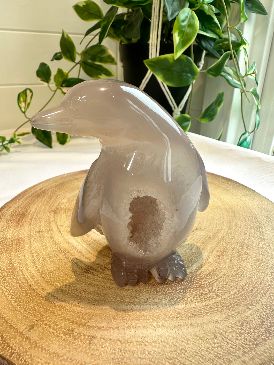 Druzy Agate Penguin Carving - Icey B