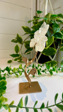 Load image into Gallery viewer, Clear Quartz Rose Carving on Custom Stand|Home Decor
