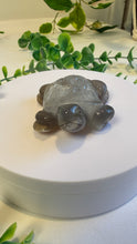 Load image into Gallery viewer, Druzy Agate Tortoise (Andy)
