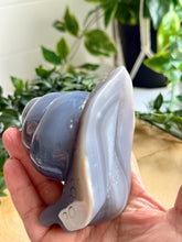 Load image into Gallery viewer, Orca Agate Snail Carving|Snail|Animal Carving|Home Decor
