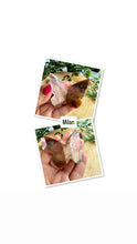 Load image into Gallery viewer, Pink Lace Chalcedony 3D Butterflies|Chalcedony Crystal|Butterfly Carving
