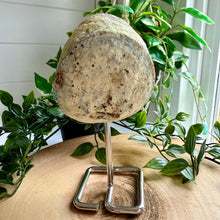 Load image into Gallery viewer, Natural Agate Geode on Metal Stand from Brazil
