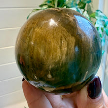 Load image into Gallery viewer, Petrified Wood Sphere 7.5cm with Stand|Fossilised Wood|Fossil
