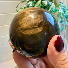 Load image into Gallery viewer, Petrified Wood Sphere 7.5cm with Stand|Fossilised Wood|Fossil
