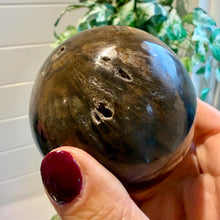 Load image into Gallery viewer, Petrified Wood Sphere 7.5cm with Stand|Fossilised Wood|Fossil
