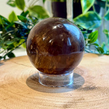 Load image into Gallery viewer, Petrified Wood Sphere 7.5cm with Stand|Fossilised Wood|Fossil
