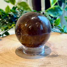 Load image into Gallery viewer, Petrified Wood Sphere 7.5cm with Stand|Fossilised Wood|Fossil
