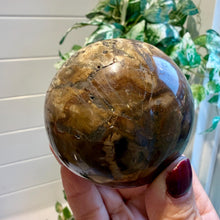 Load image into Gallery viewer, Petrified Wood Sphere 7cm with Stand|Fossilised Wood|Fossil
