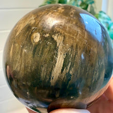 Load image into Gallery viewer, Petrified Wood Sphere 7.5cm with Stand|Fossilised Wood|Fossil
