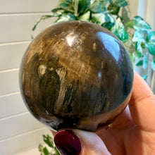 Load image into Gallery viewer, Petrified Wood Sphere 7.5cm with Stand|Fossilised Wood|Fossil
