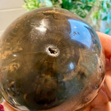 Load image into Gallery viewer, Petrified Wood Sphere 7.5cm with Stand|Fossilised Wood|Fossil
