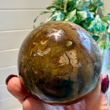 Load image into Gallery viewer, Petrified Wood Sphere 7cm with Stand|Fossilised Wood|Fossil

