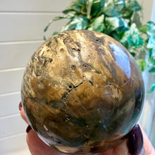 Load image into Gallery viewer, Petrified Wood Sphere 7cm with Stand|Fossilised Wood|Fossil
