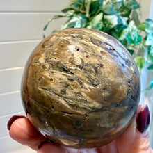 Load image into Gallery viewer, Petrified Wood Sphere 7cm with Stand|Fossilised Wood|Fossil
