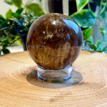 Load image into Gallery viewer, Petrified Wood Sphere 7cm with Stand|Fossilised Wood|Fossil
