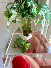 Load image into Gallery viewer, Moldavite Piece from Chlum, Czech Republic|Tektite|High Vibration Crystal

