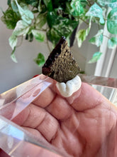 Load image into Gallery viewer, Moldavite Piece from Chlum, Czech Republic|Tektite|High Vibration Crystal
