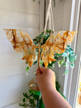 Load image into Gallery viewer, Golden Healer Butterfly Wings on Gold Stand|Home Decor
