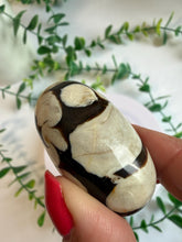 Load image into Gallery viewer, Peanut Wood Shivas|Witchy Gift|Pocket Stone
