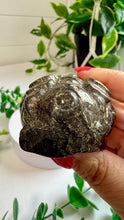 Load image into Gallery viewer, Pyrite Money Frog|Money Toad|Prosperity|Luck|Fortune
