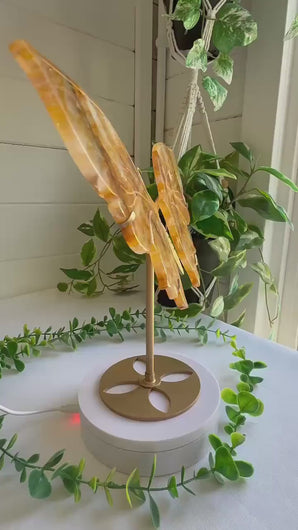 Golden Healer Butterfly Wings on Gold Stand|Home Decor