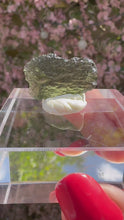 Load and play video in Gallery viewer, Moldavite Piece from Chlum, Czech Republic
